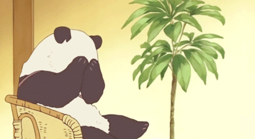 image.gif