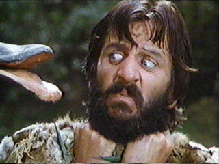image.gif
