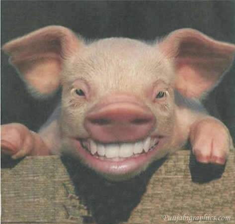 image.jpeg