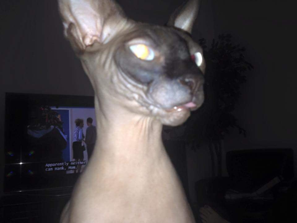 image.jpeg