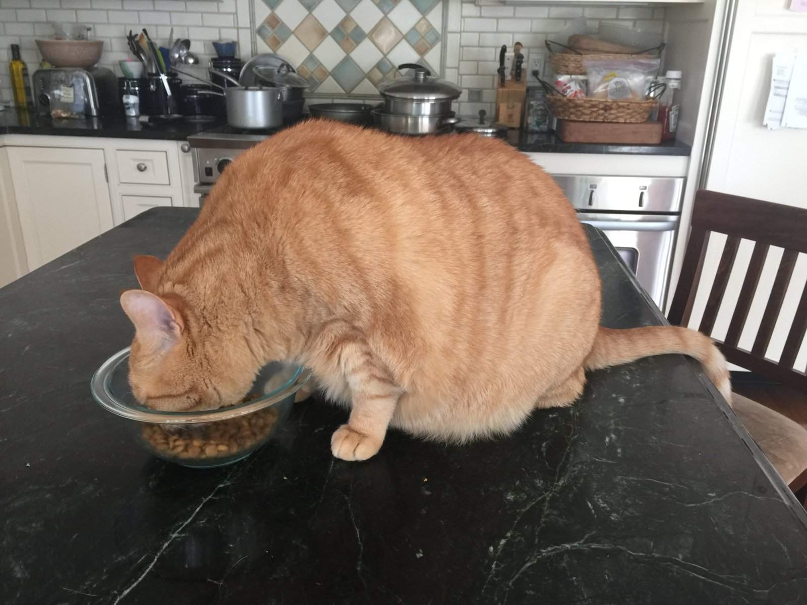 image.jpeg