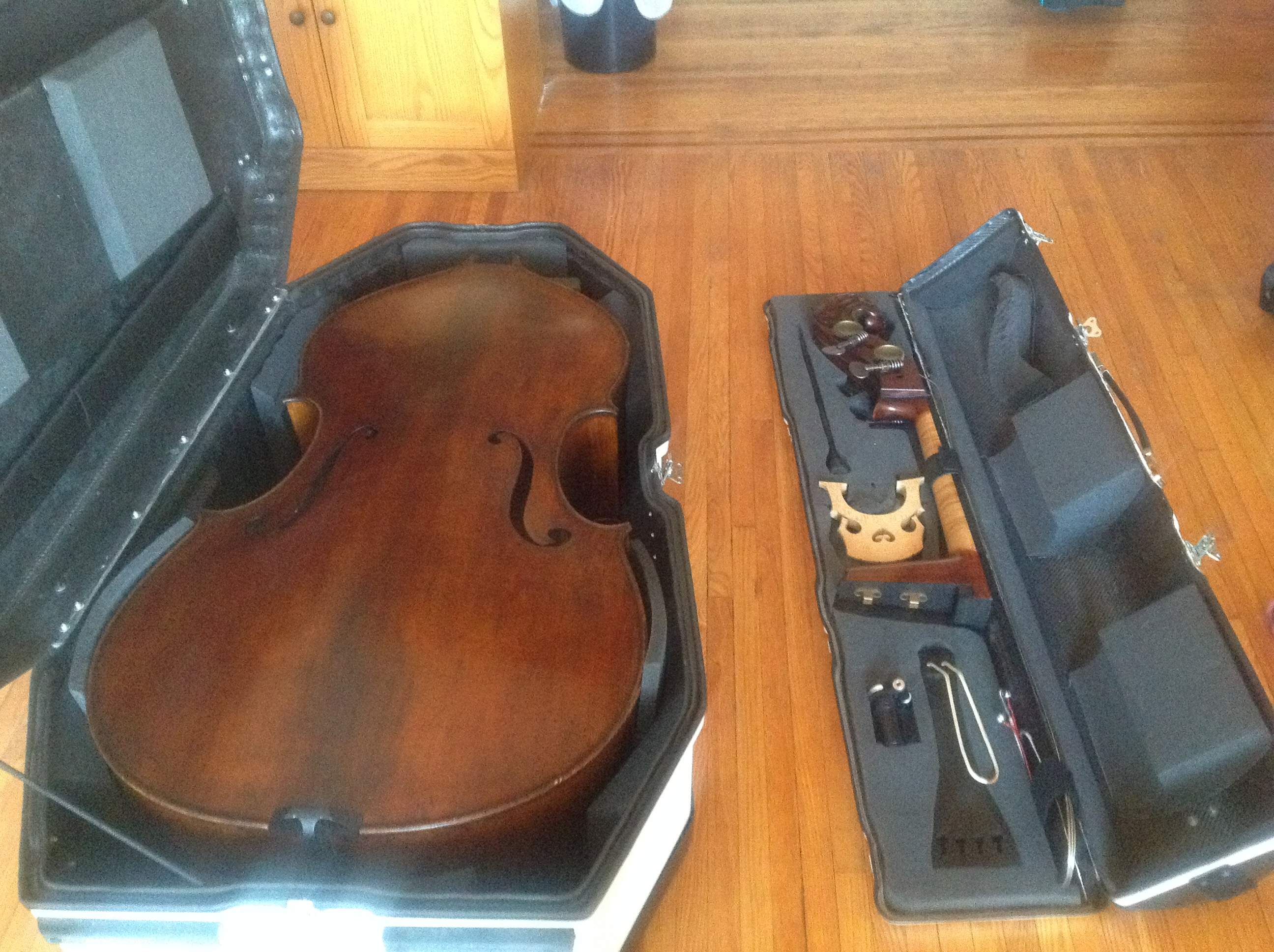 image.jpeg