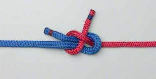 image.jpeg