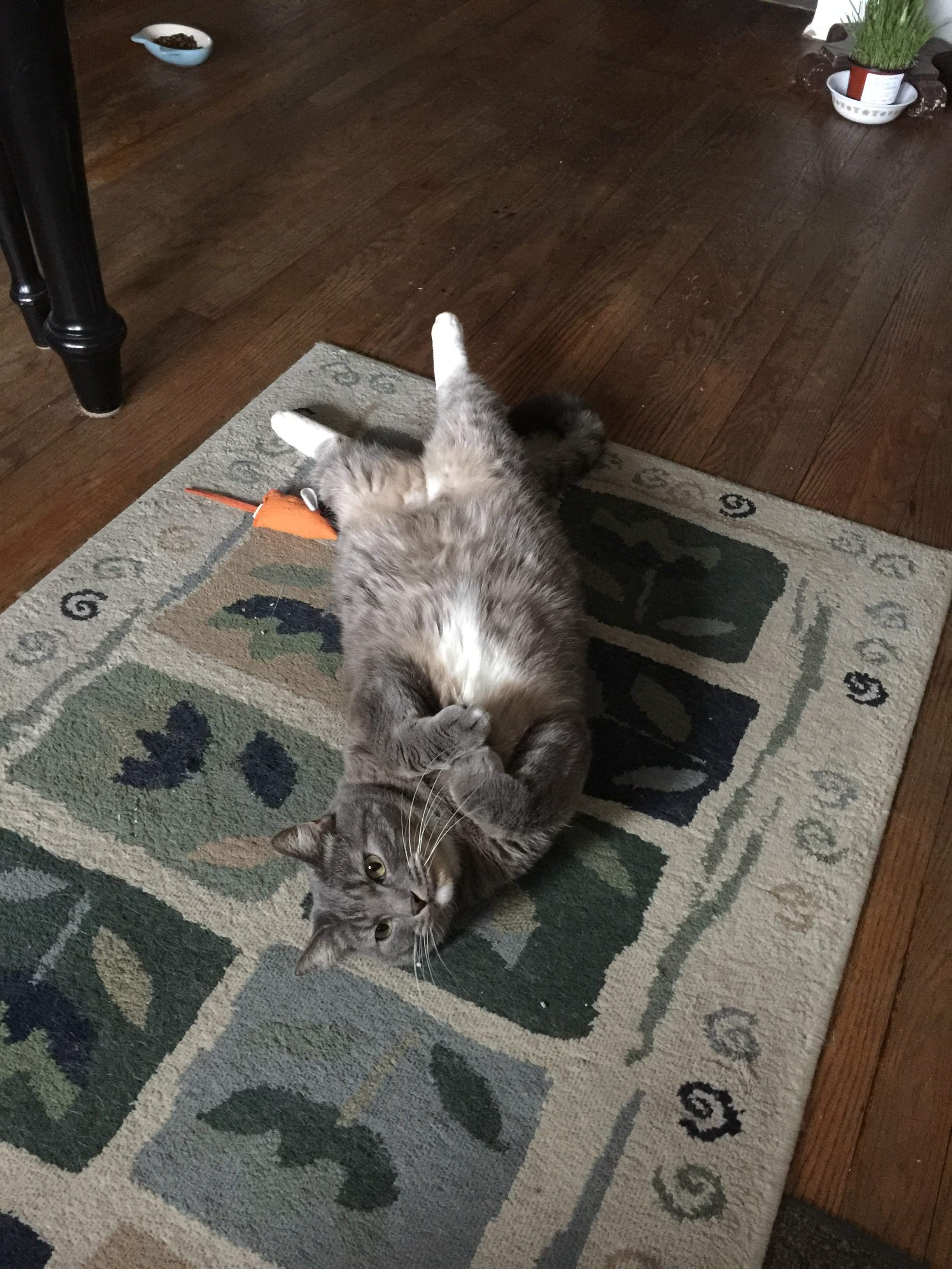 image.jpeg