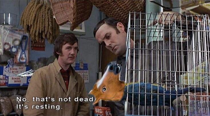 image.jpeg
