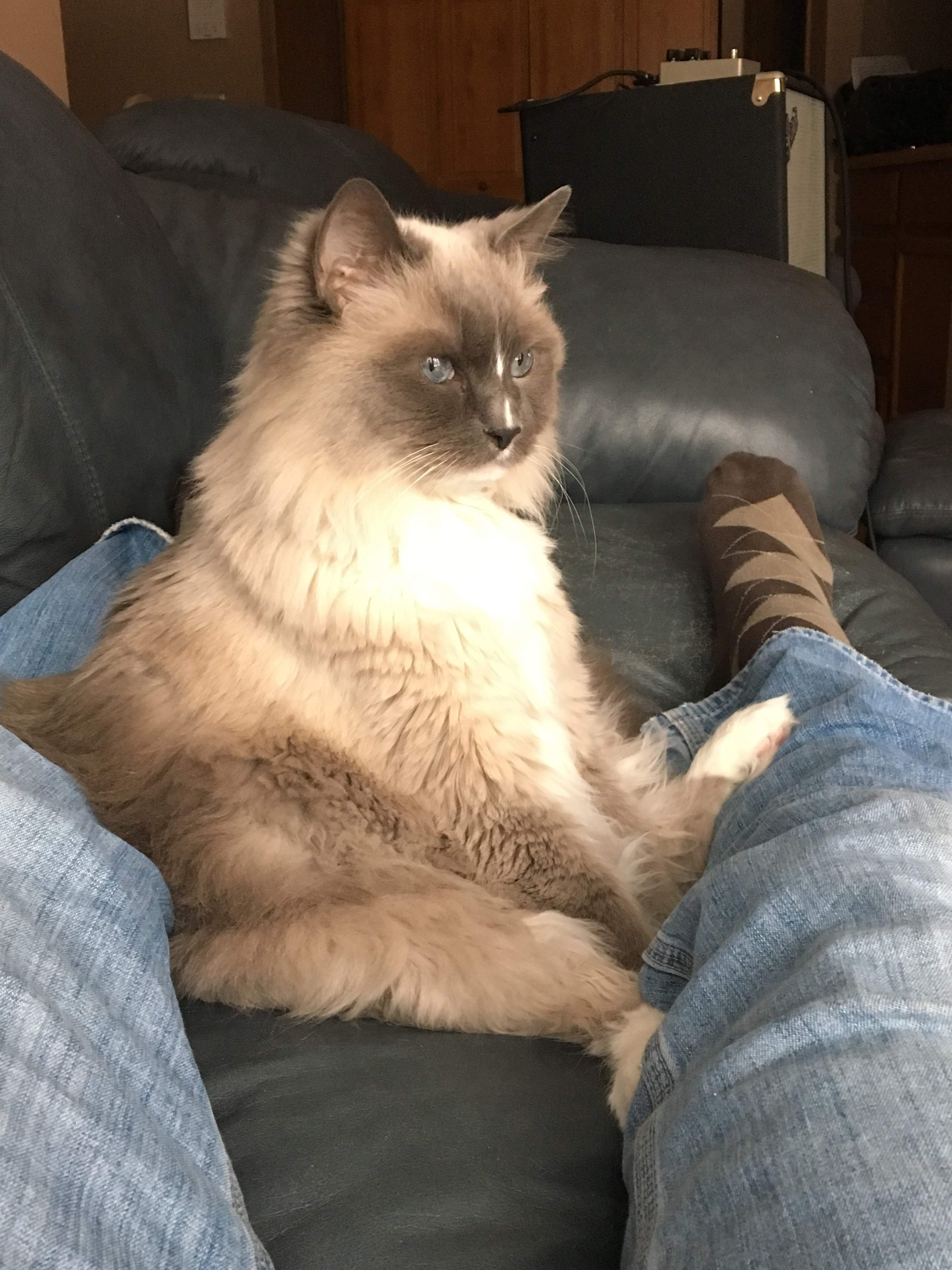 image.jpeg