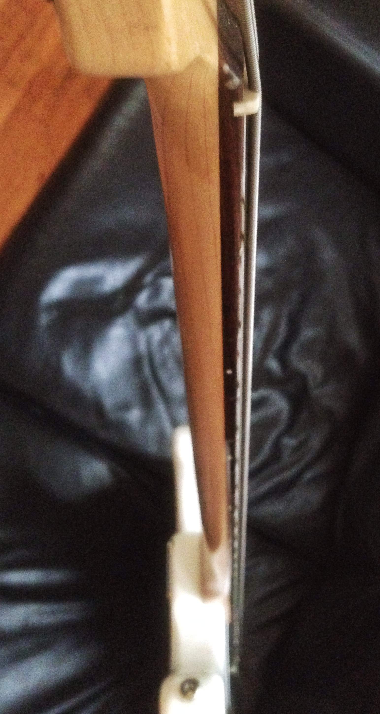 image.jpeg