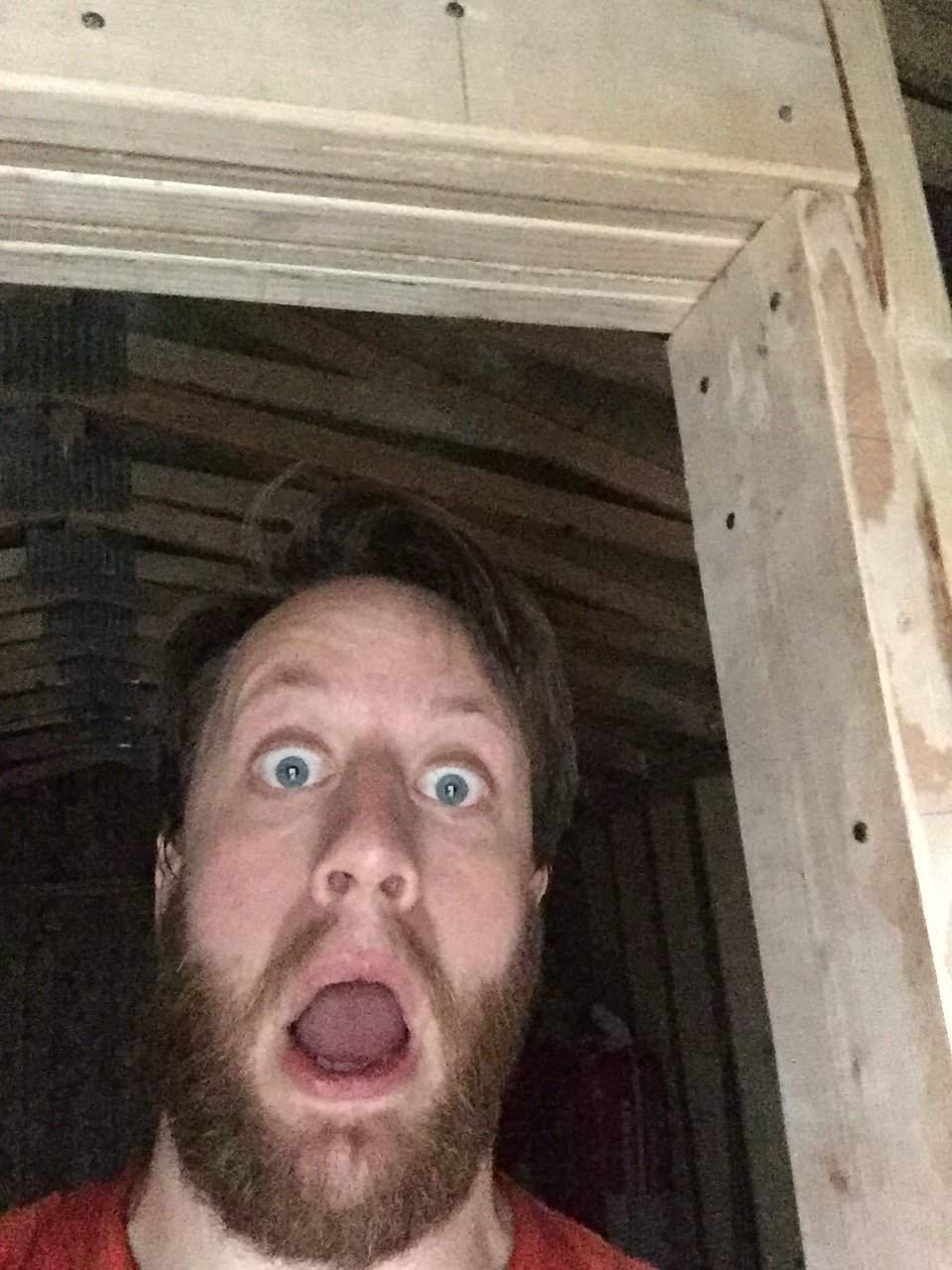 image.jpeg