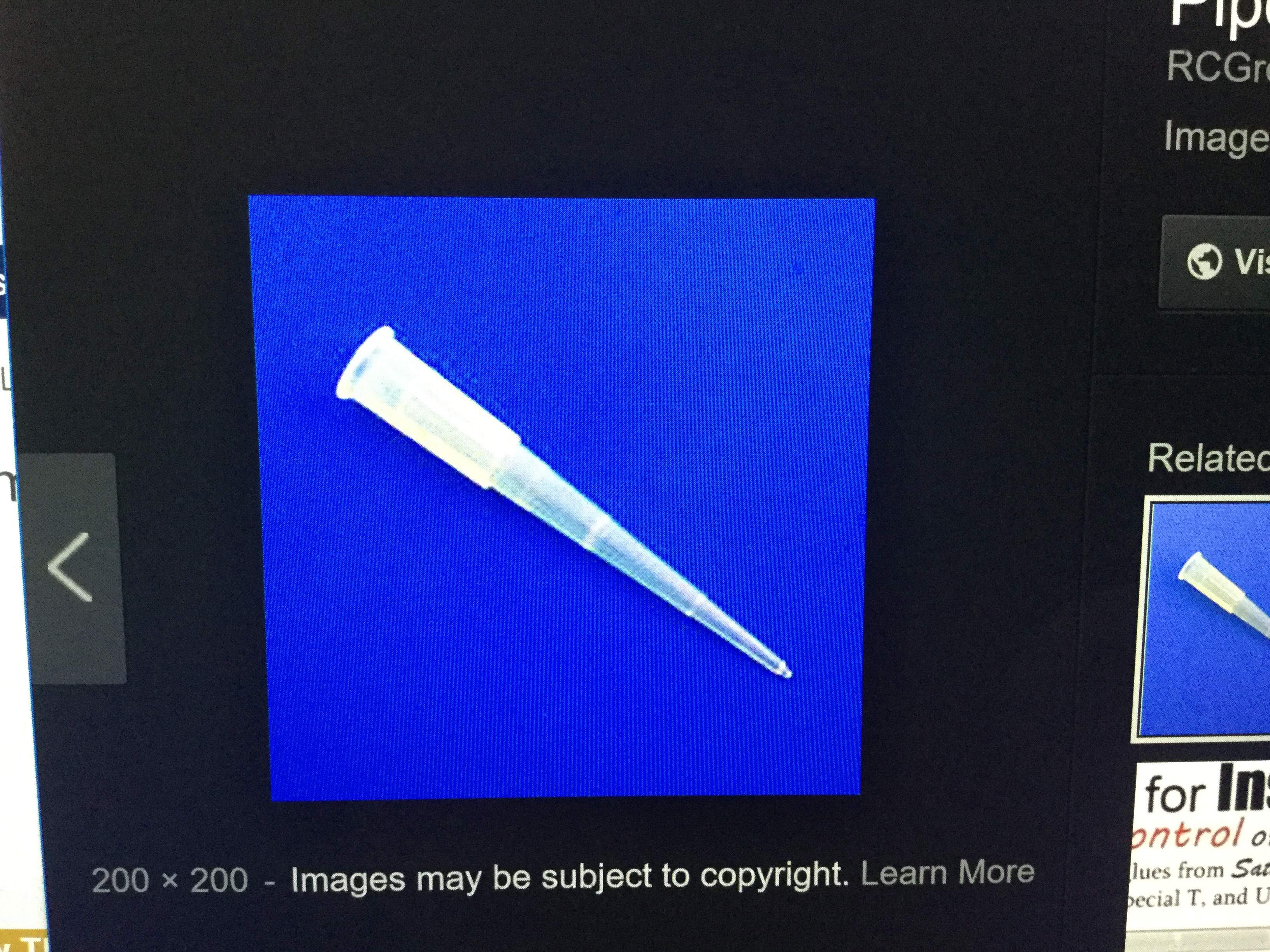 image.jpg