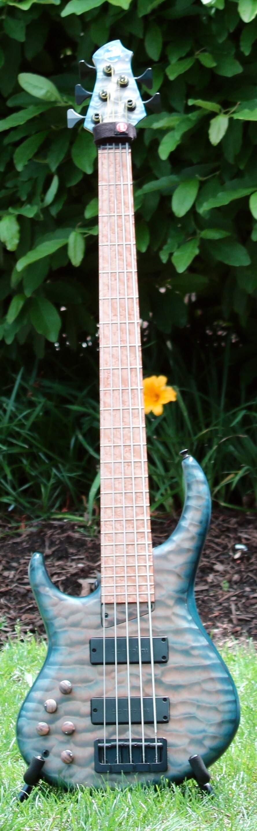 image.jpg