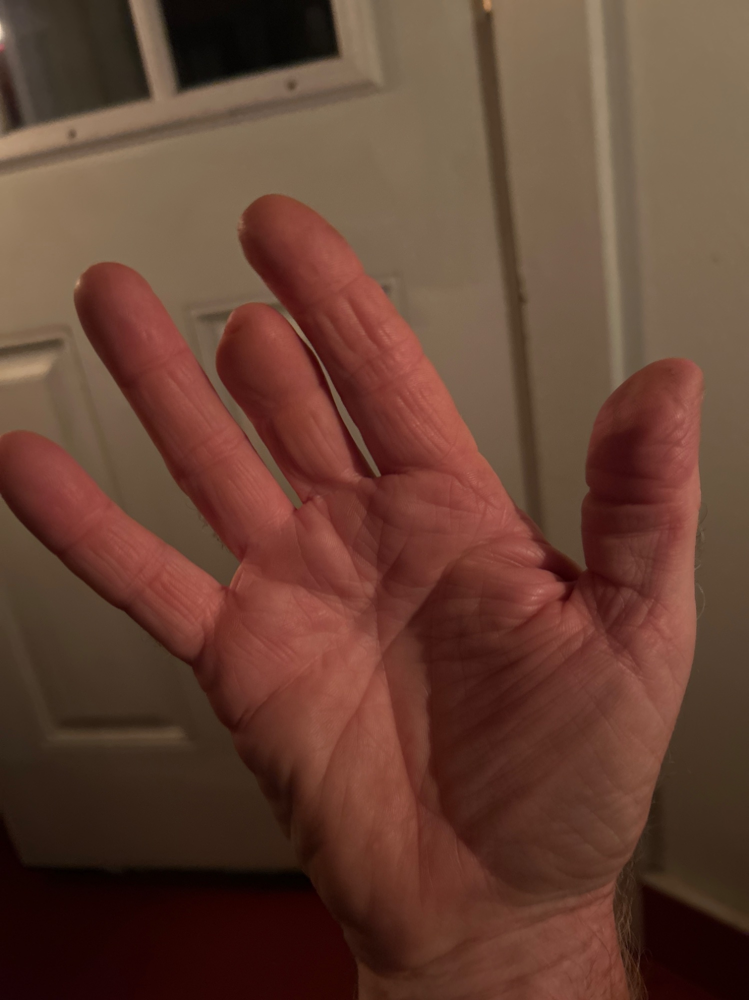 image.jpg