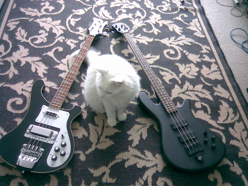Image000.jpg