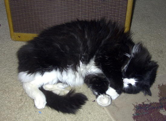 Image003.jpg