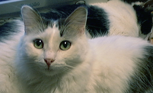 Image013.jpg