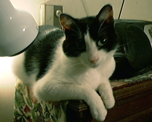 Image020.jpg