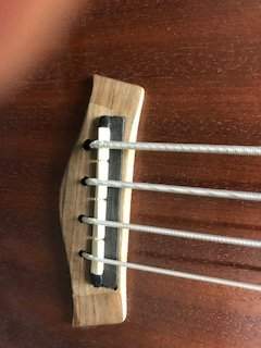 image1.jpeg