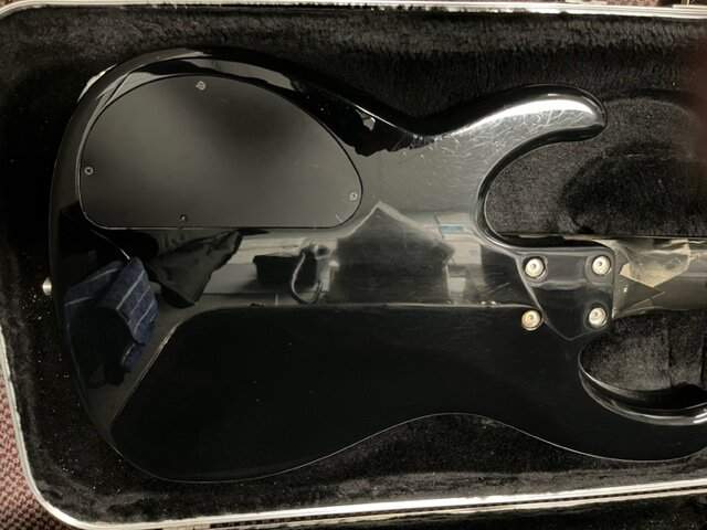 image5.jpeg