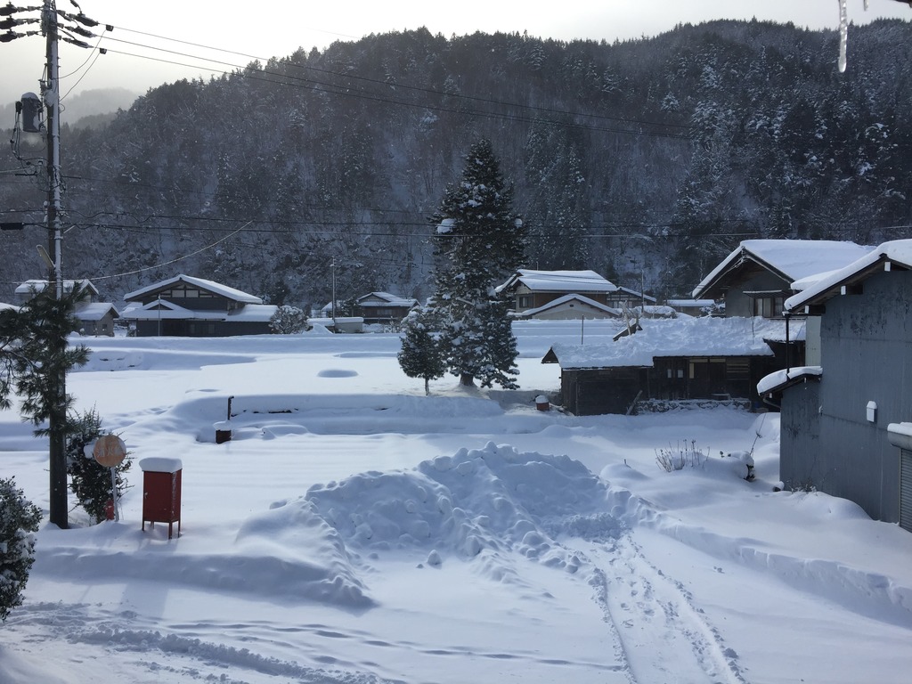 image_44.jpg