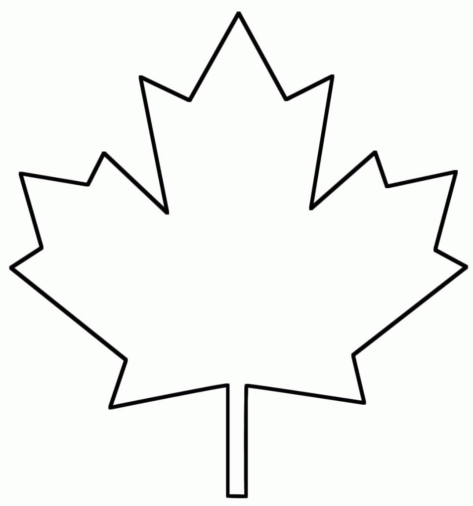 Image_zpsdb3d6496.jpg