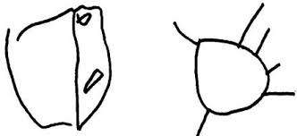imagesTO3WDHKE.jpg