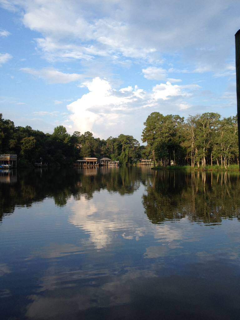 ImageUploadedByTalkBass1406291363.245405.jpg