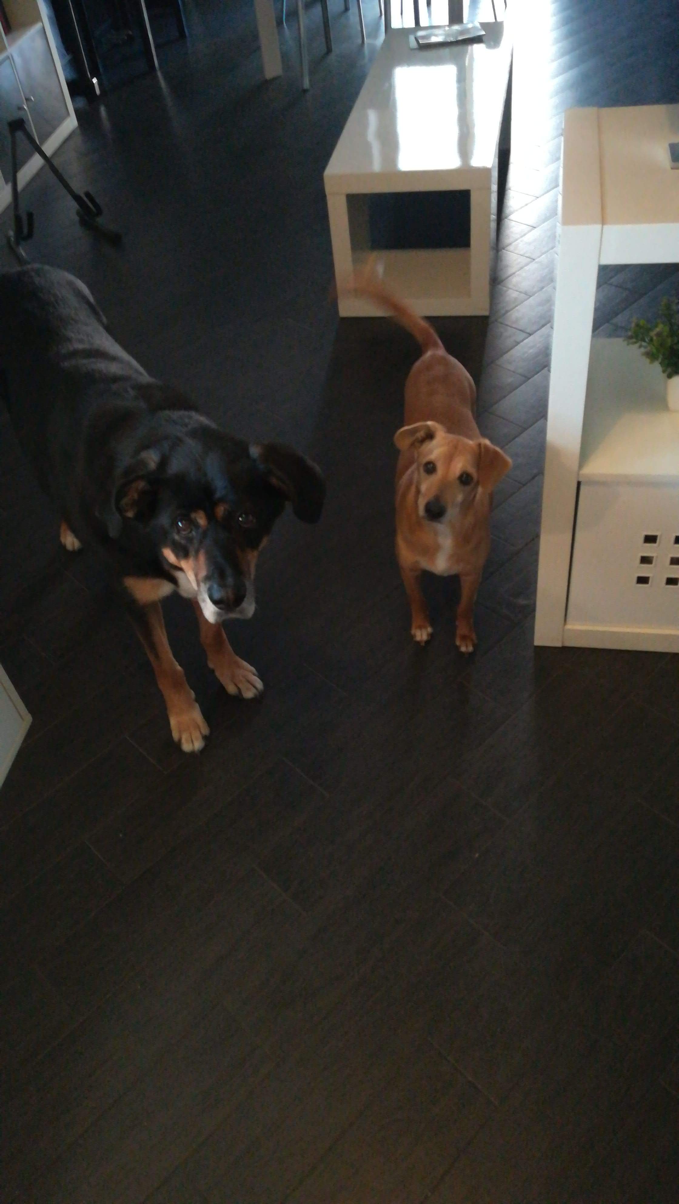 IMG-20180626-WA0014.jpeg