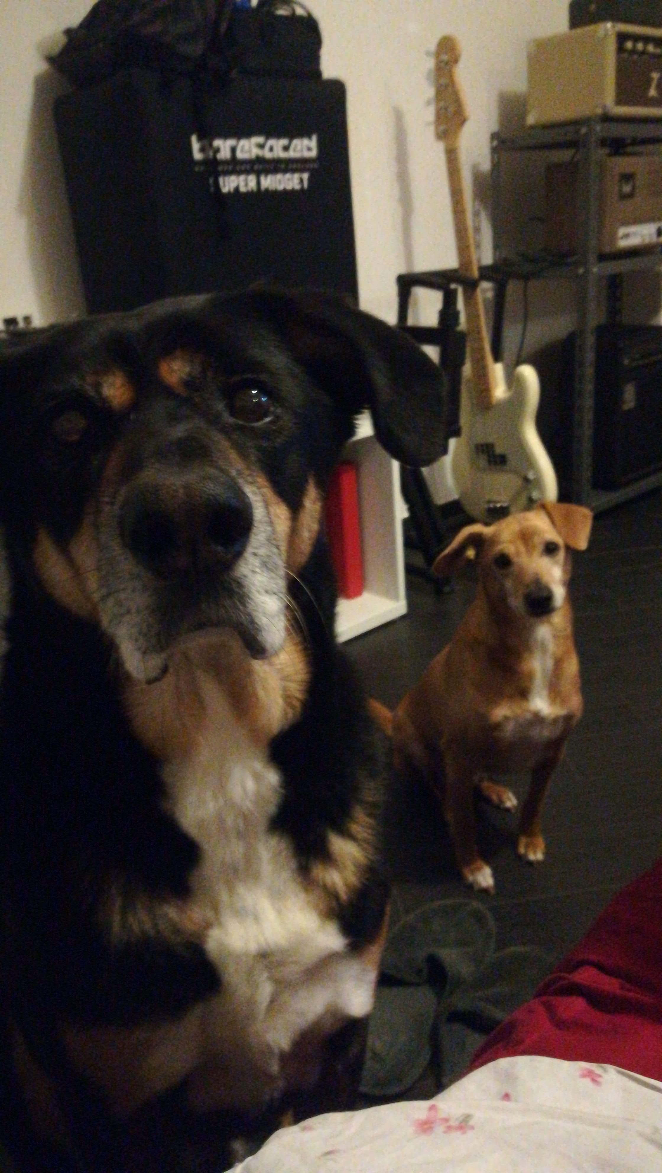 IMG-20190204-WA0017.jpeg