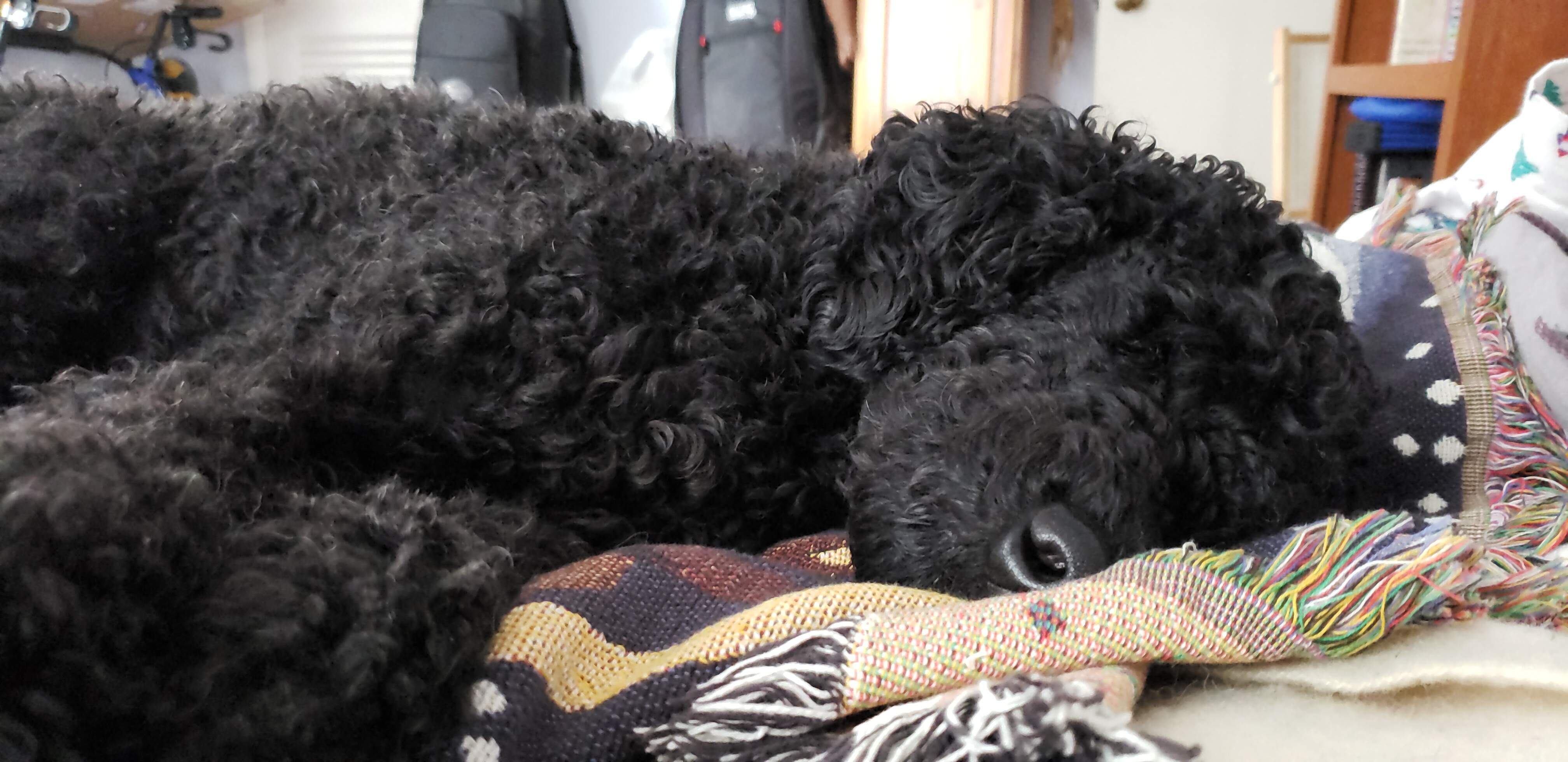 IMG-20190223-WA0032.jpeg
