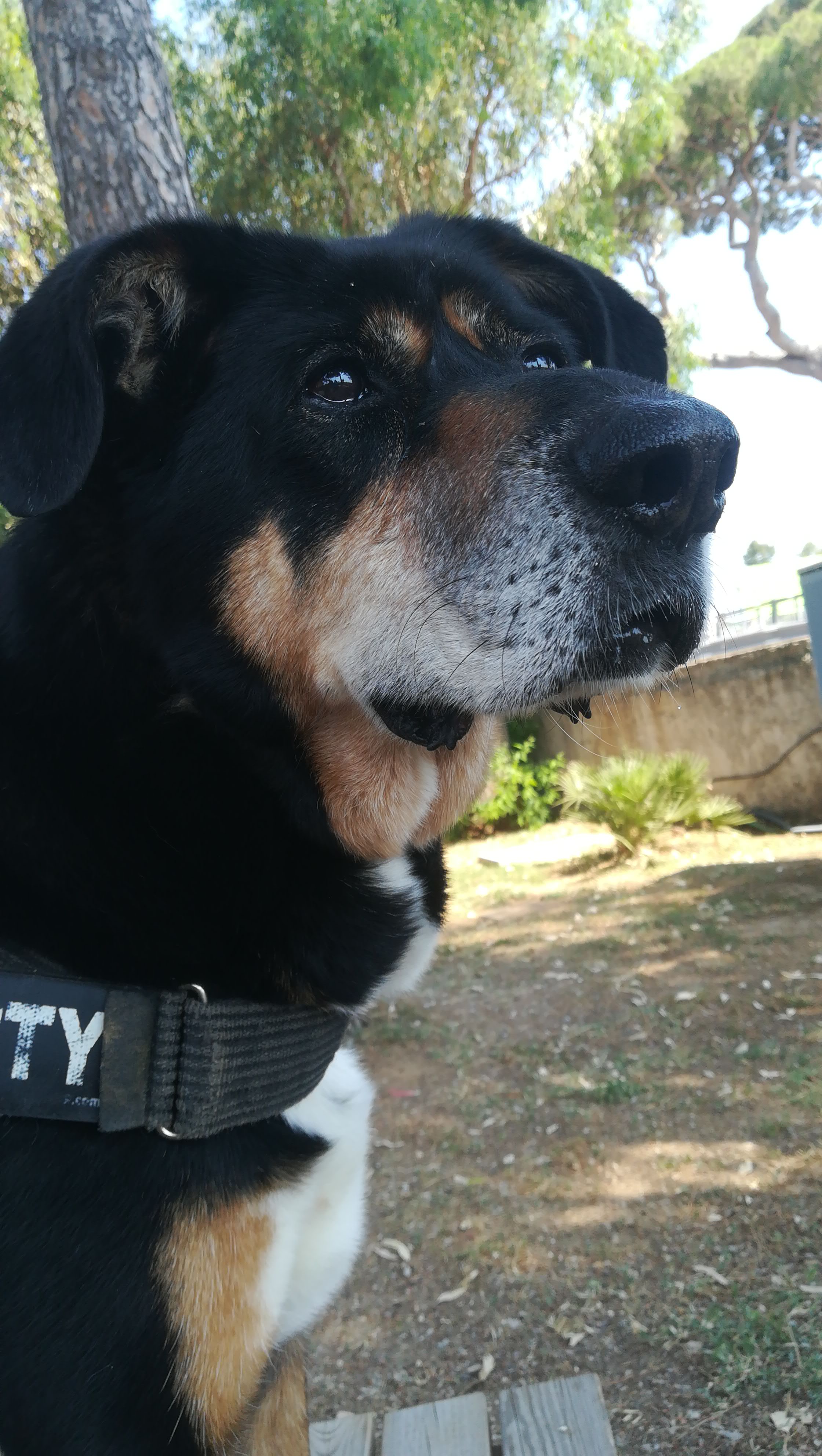 IMG-20190629-WA0000.jpeg