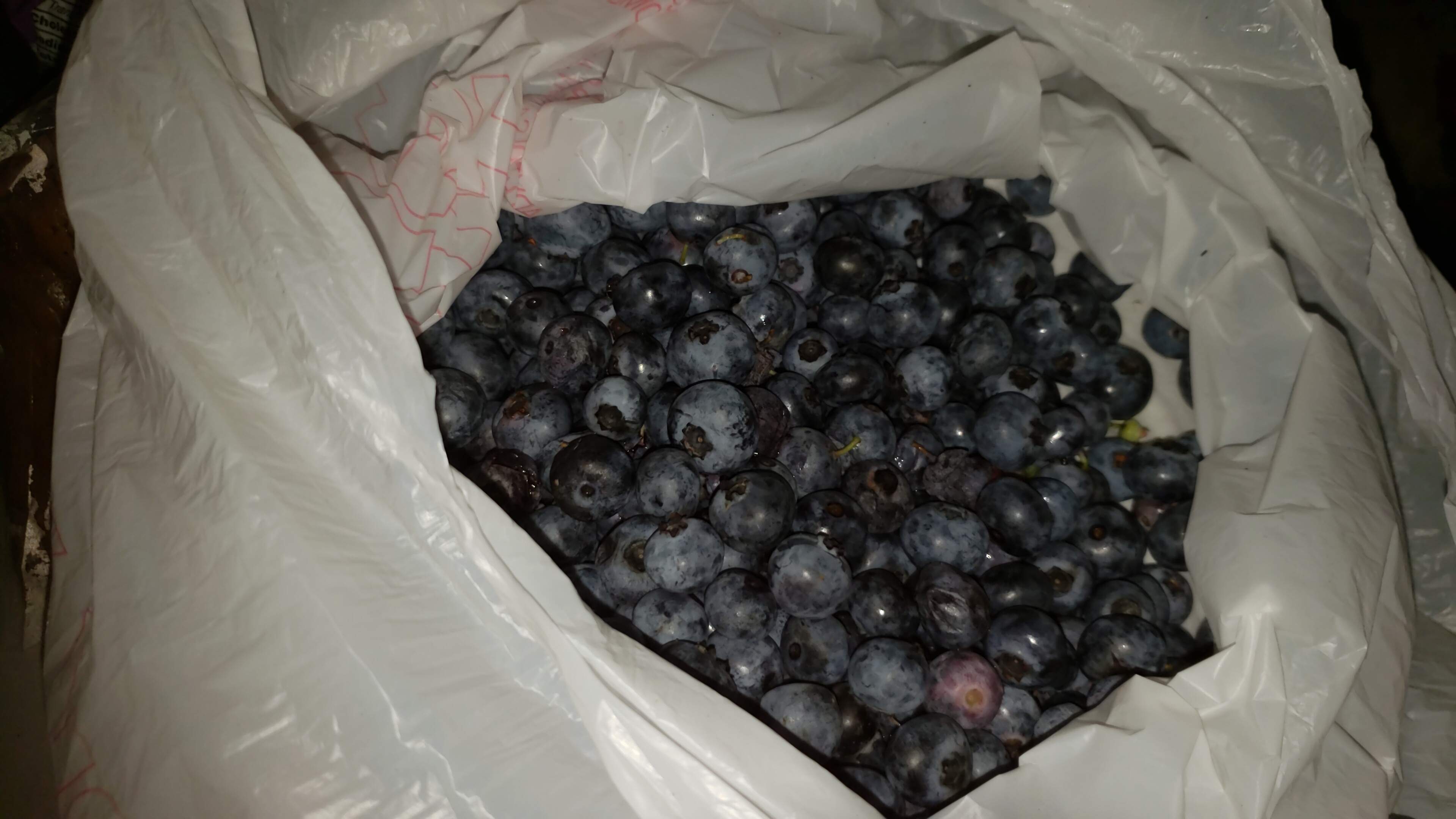 IMG-20190718-WA0005.jpeg