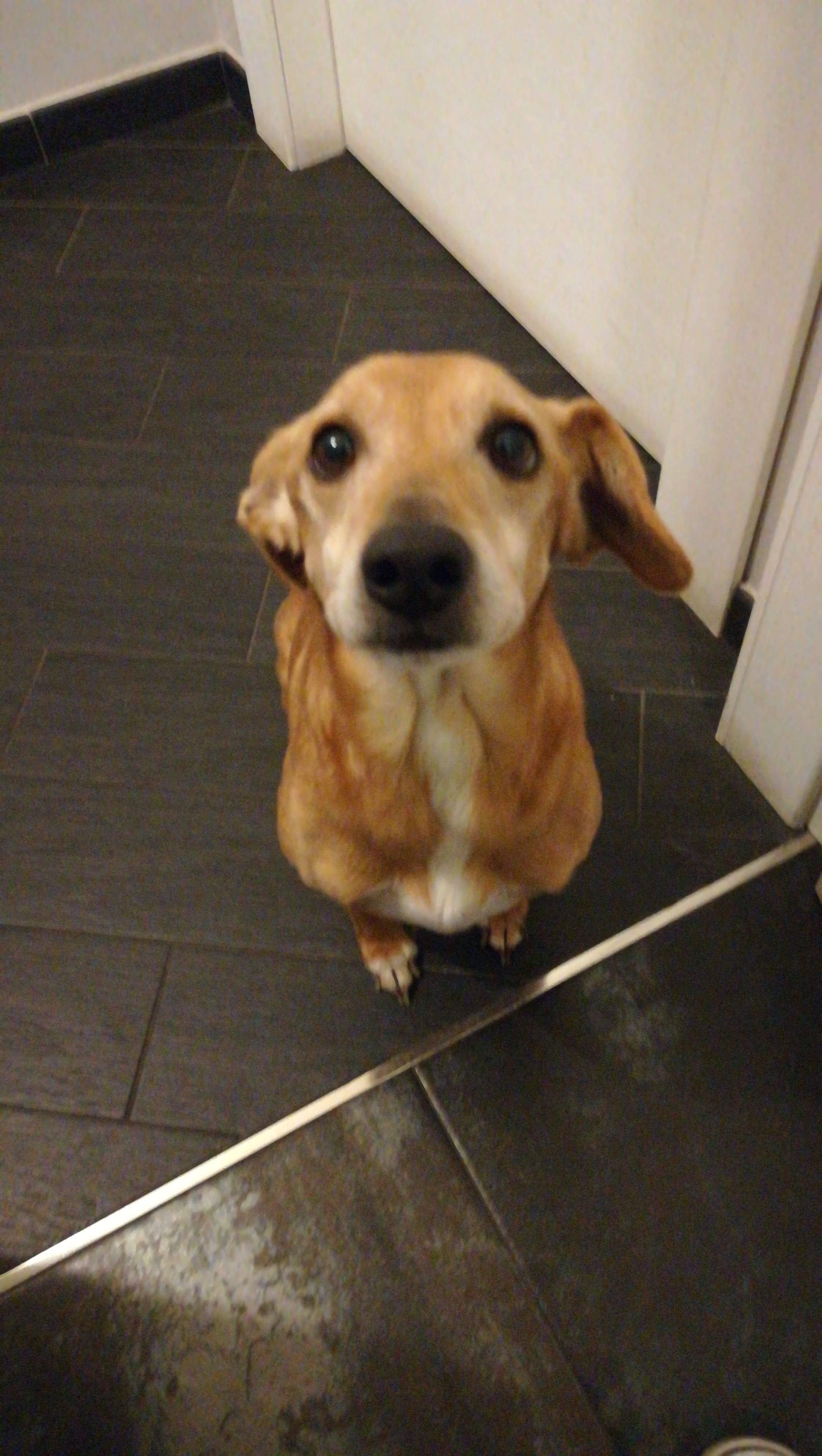 IMG-20191124-WA0028.jpeg