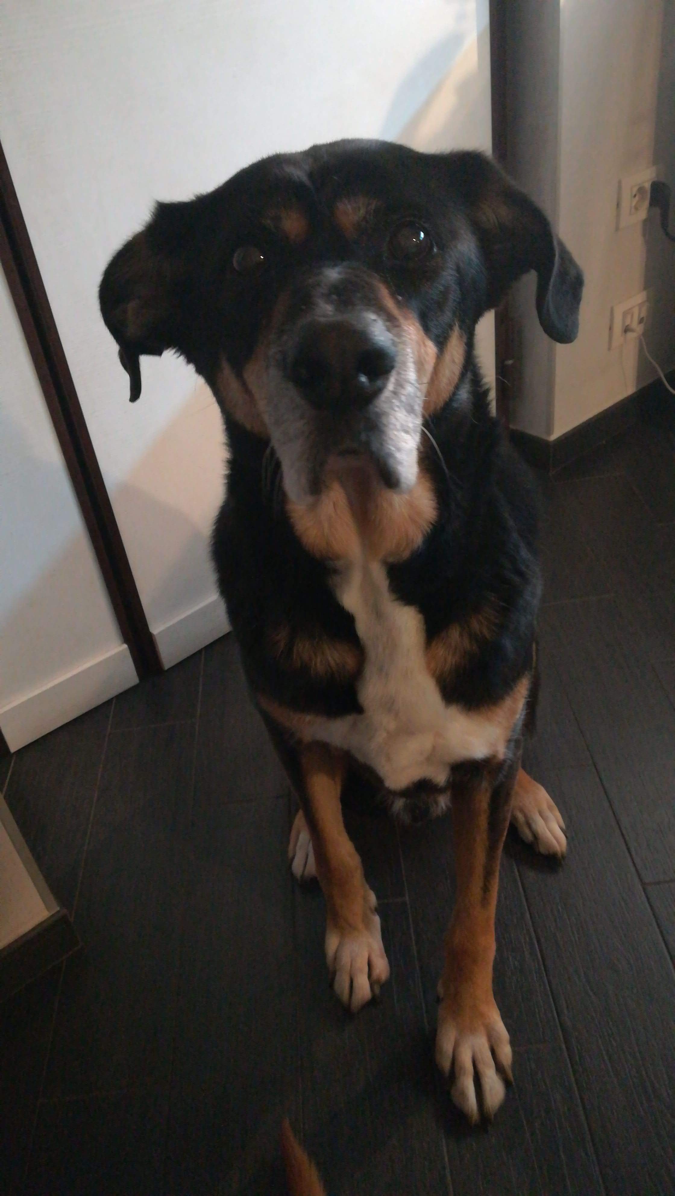 IMG-20191231-WA0035.jpeg