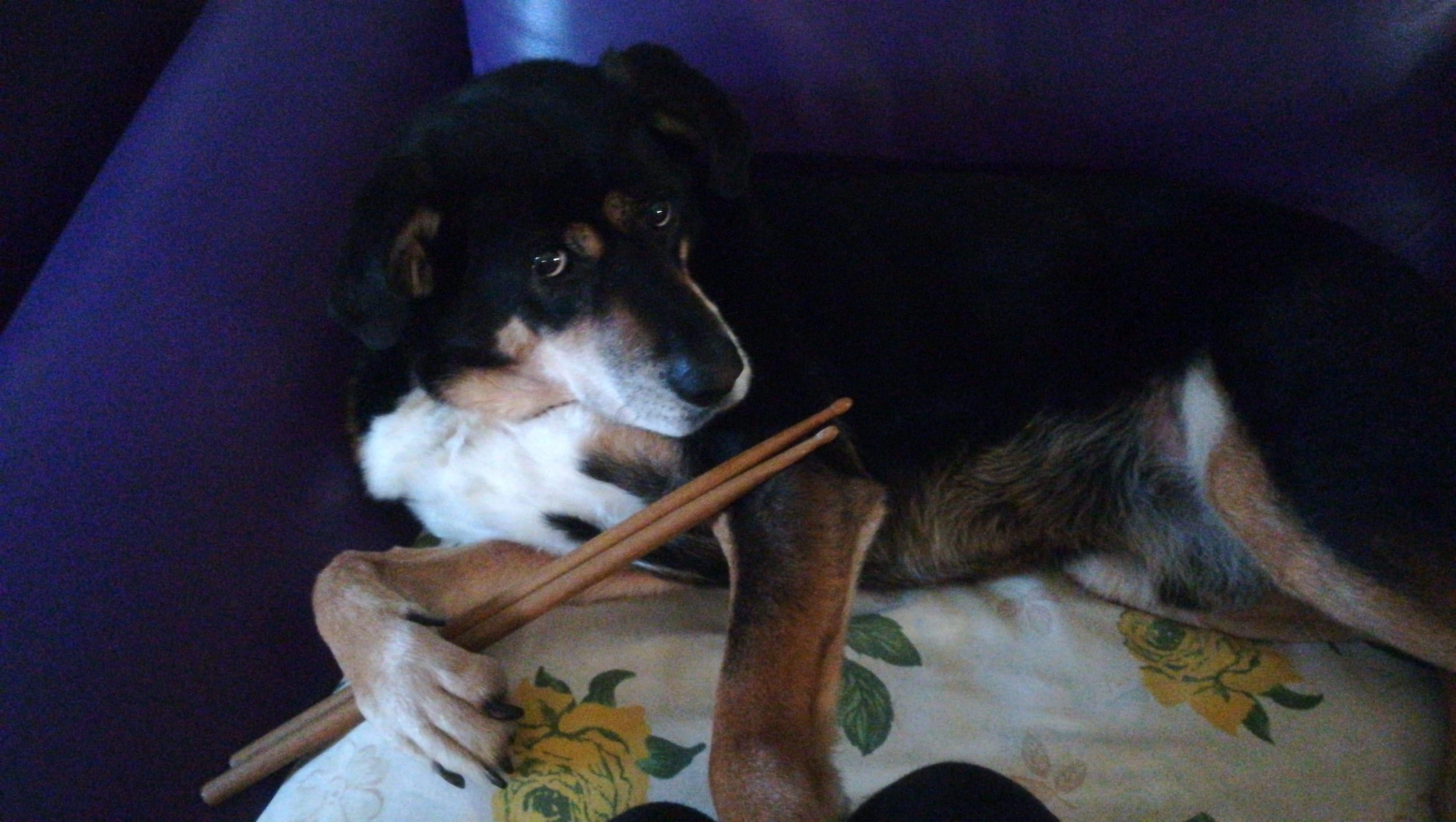 IMG-20201226-WA0005.jpeg
