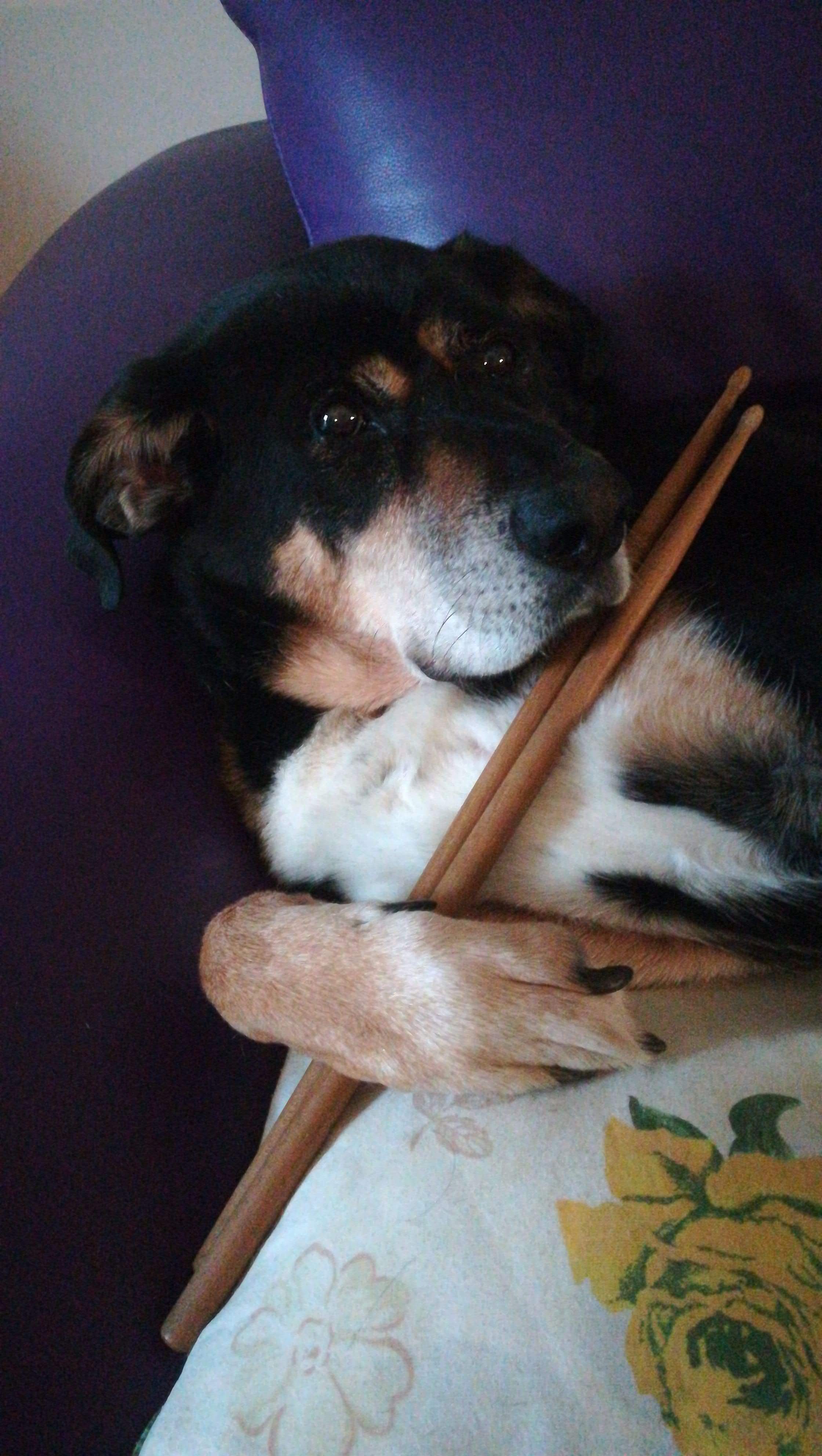 IMG-20201226-WA0009.jpeg