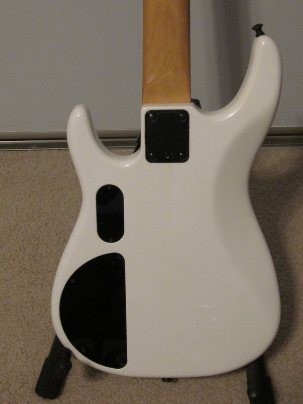 IMG-3675.jpg