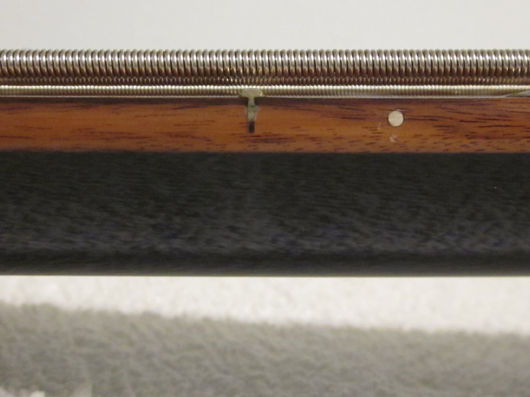 IMG-3920.jpg