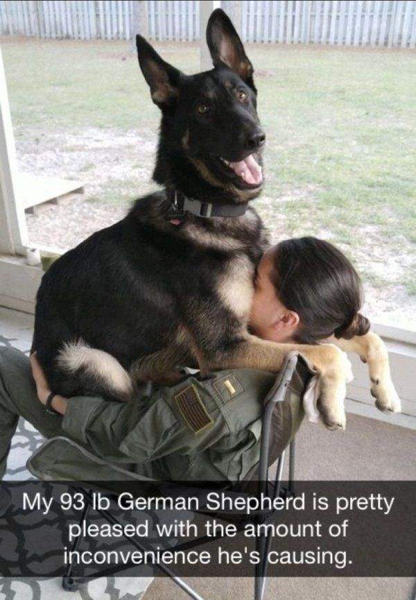 img.jpg