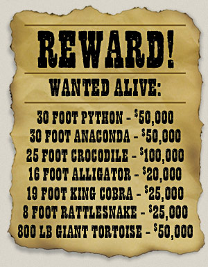 img-rewards-poster.jpg