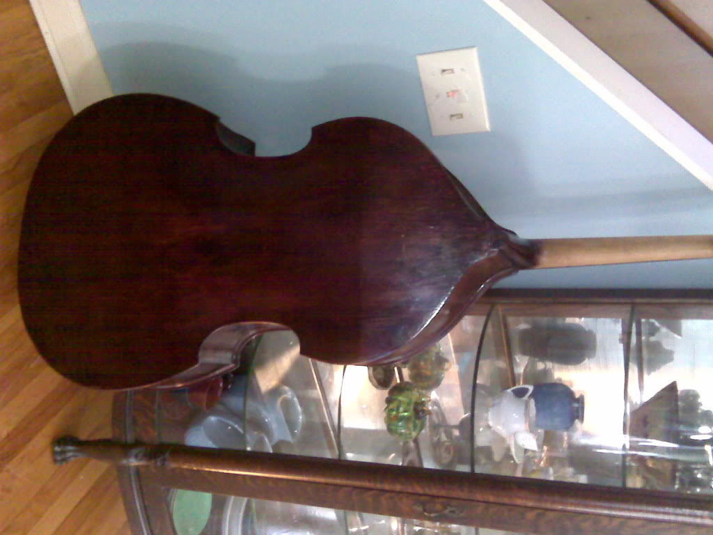 IMG00337.jpg