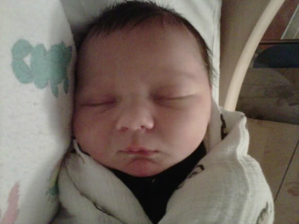 IMG00342-20110318-1026.jpg