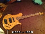img0113.jpg