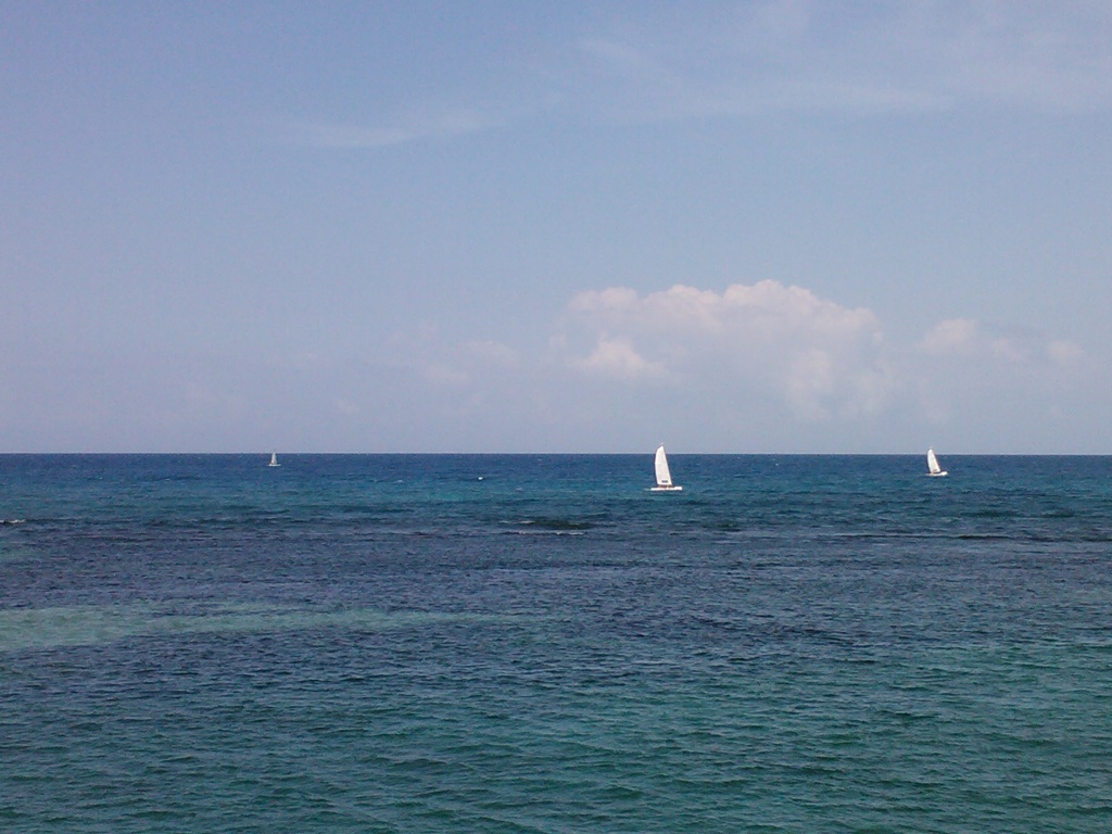 IMG023.jpg