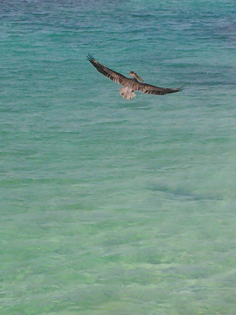 IMG024.jpg