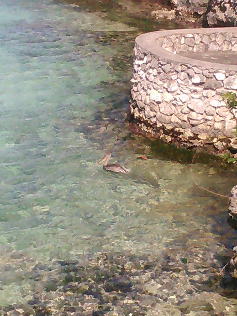 IMG025.jpg