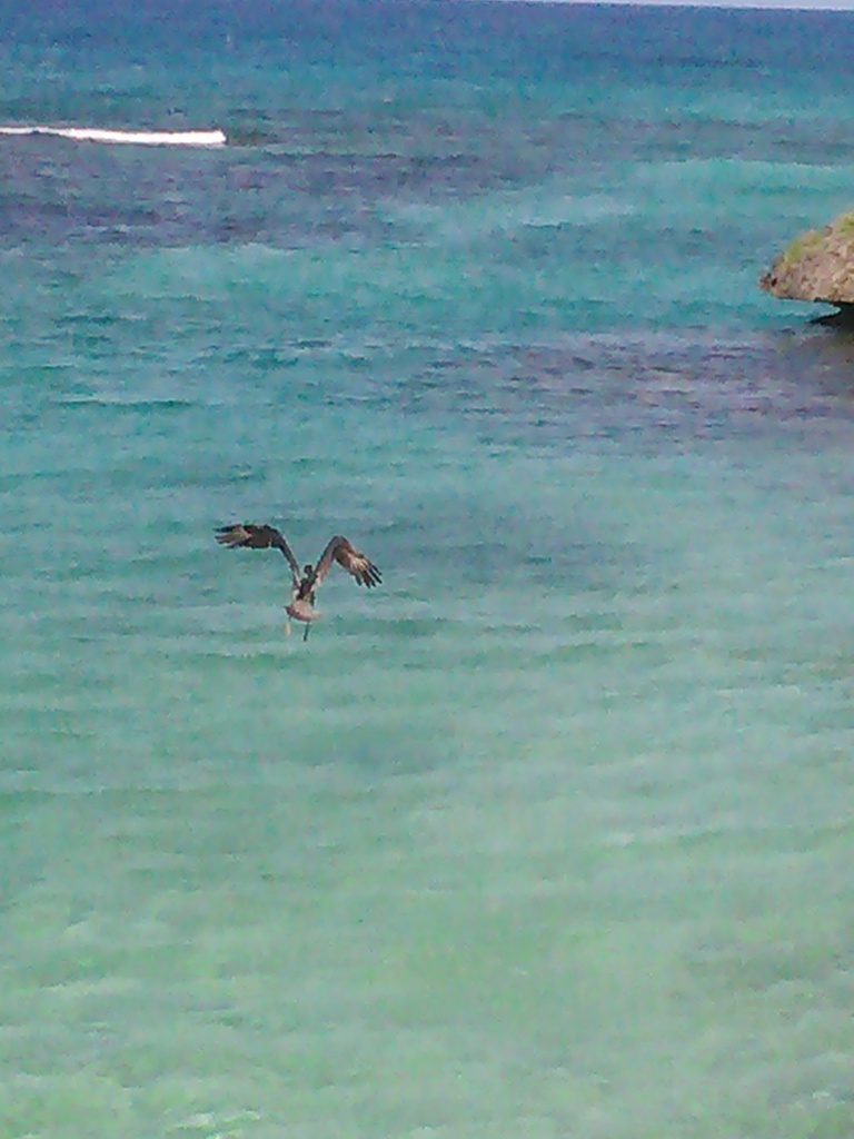 IMG026.jpg