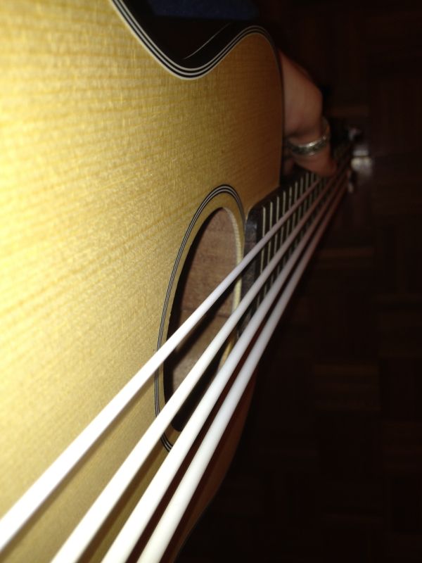 img0391sw.jpg