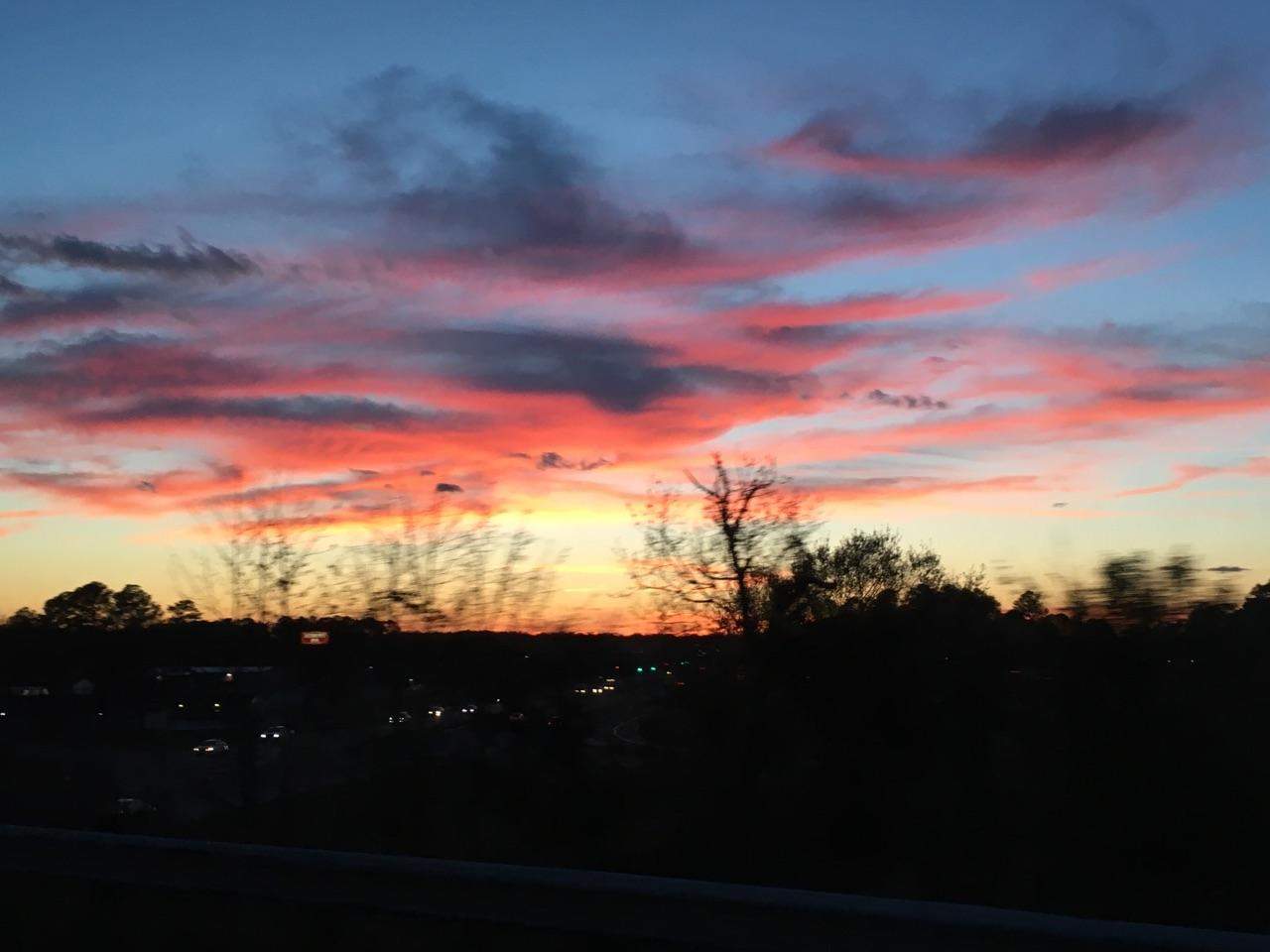 IMG952144.jpg