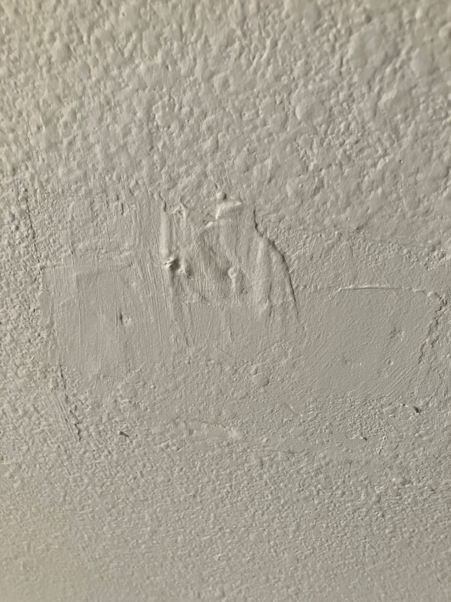 IMG_0013.jpeg