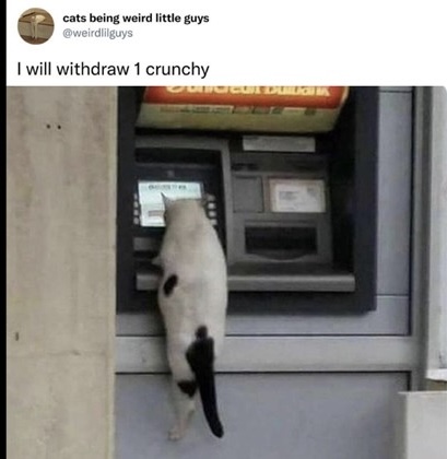 IMG_0014.jpeg