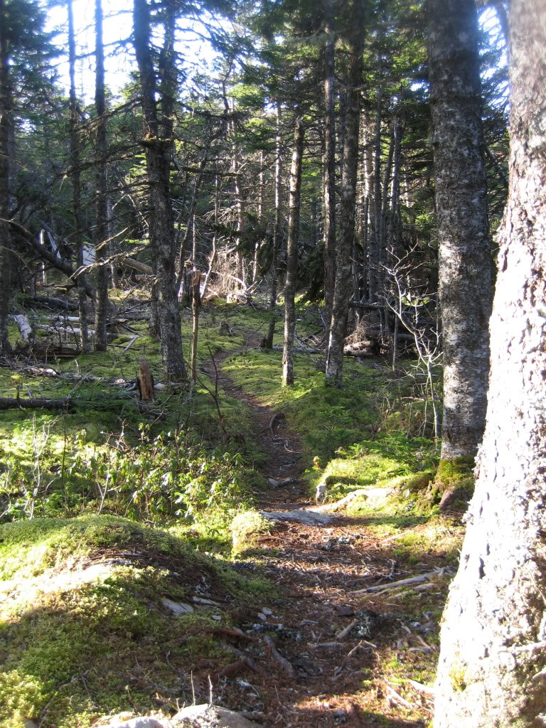 IMG_0019.jpg